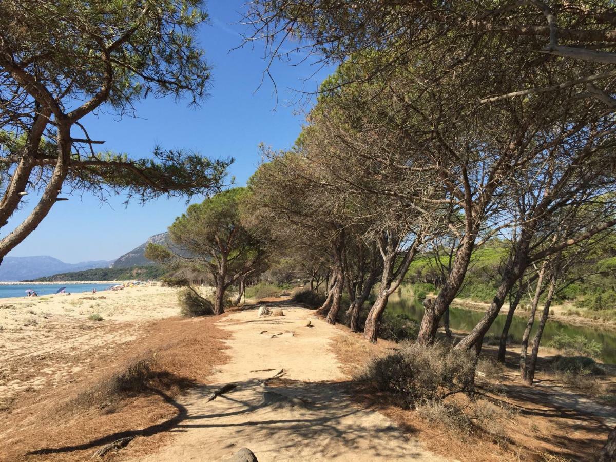 Appartamento In Villa Andreina Orosei Εξωτερικό φωτογραφία