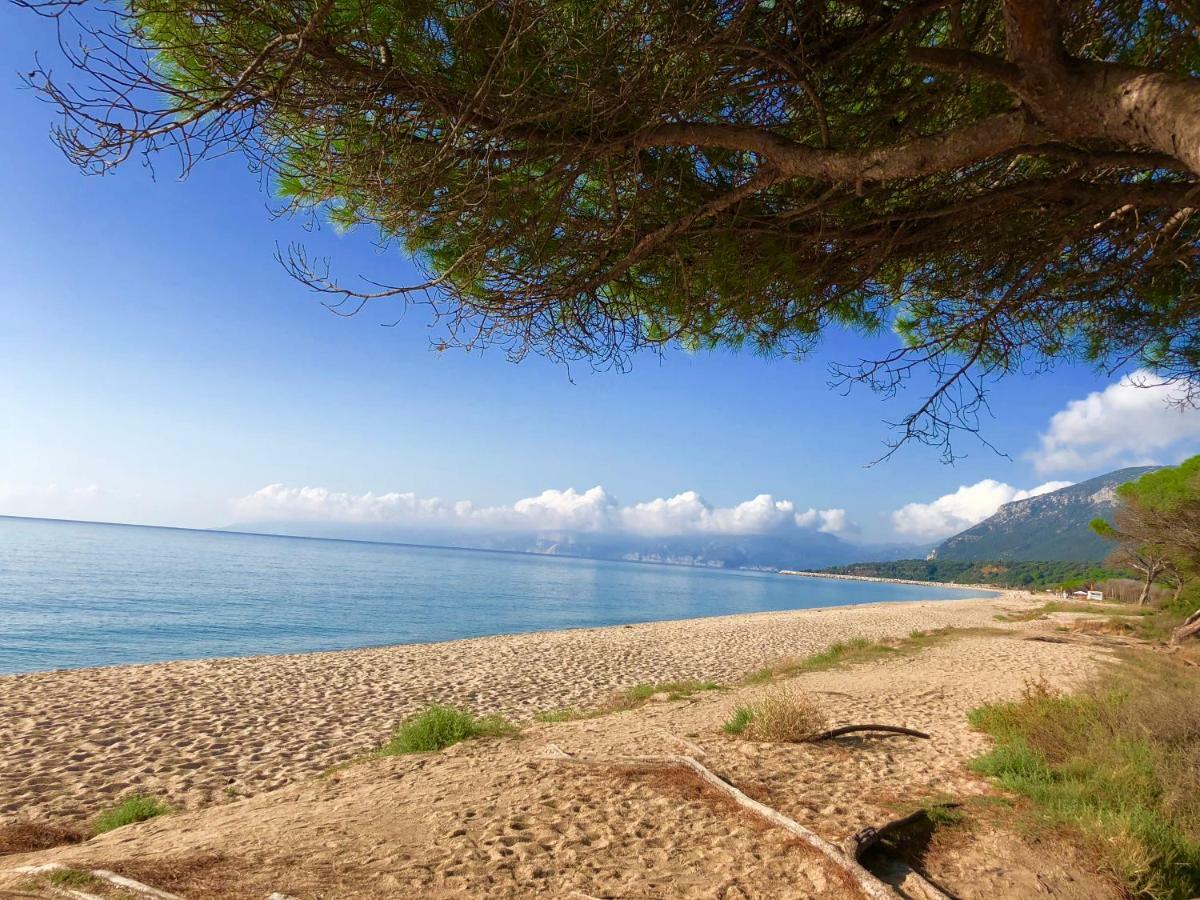Appartamento In Villa Andreina Orosei Εξωτερικό φωτογραφία